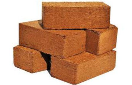 bricks